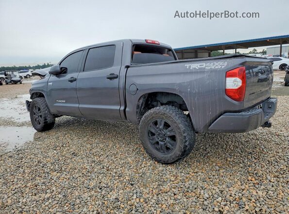 5TFDW5F1XKX829553 2019 TOYOTA TUNDRA Gray Trasero izquierdo