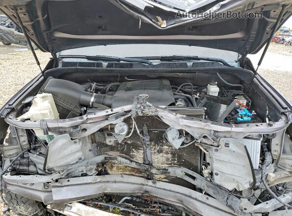 5TFDW5F1XKX829553 2019 TOYOTA TUNDRA Gray Vista interior trasera