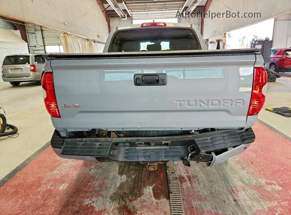 5TFDY5F10LX915014 2020 TOYOTA TUNDRA Gray უკანა ხედი