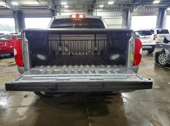 5TFDY5F11LX891175 2020 TOYOTA TUNDRA Серебряный Вид сзади