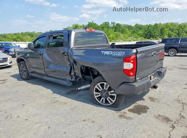 5TFDY5F11LX942223 2020 TOYOTA TUNDRA Серый Задняя левая четверть