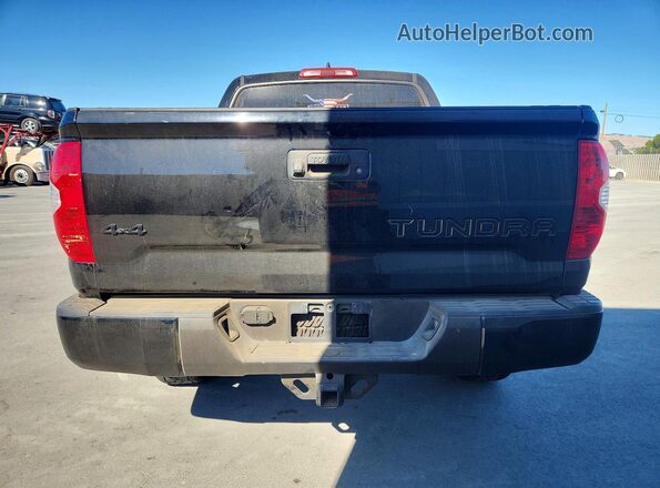 5TFDY5F11MX031813 2021 TOYOTA TUNDRA Black Հետևի տեսք