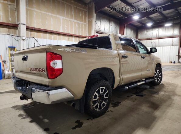 5TFDY5F14HX589094 2017 TOYOTA TUNDRA Tan Tył prawy