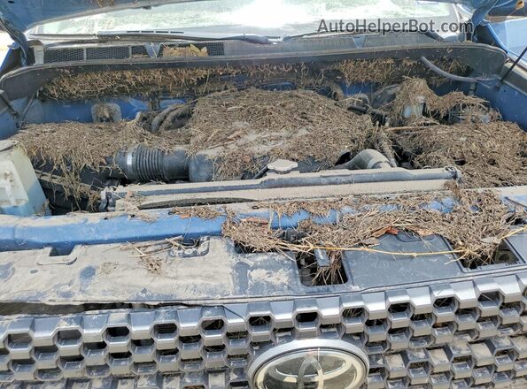 5TFDY5F14LX891221 2020 TOYOTA TUNDRA Синий Вид задней части салона