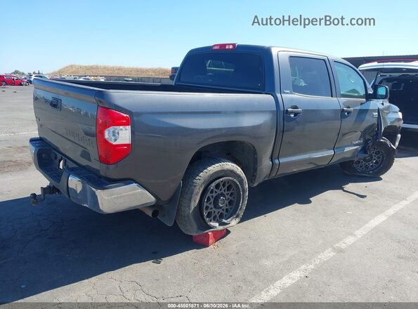 5TFDY5F16HX585807 2017 TOYOTA TUNDRA Gray Задня права чверть