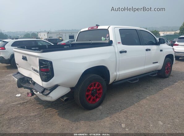 5TFDY5F16MX044492 2021 TOYOTA TUNDRA White Задня права чверть
