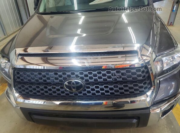 5TFDY5F16MX968057 2021 TOYOTA TUNDRA Gray Սալոնի հետևի տեսք