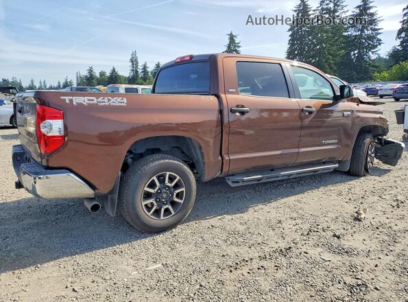 5TFDY5F17HX599747 2017 TOYOTA TUNDRA Brown Задня права чверть