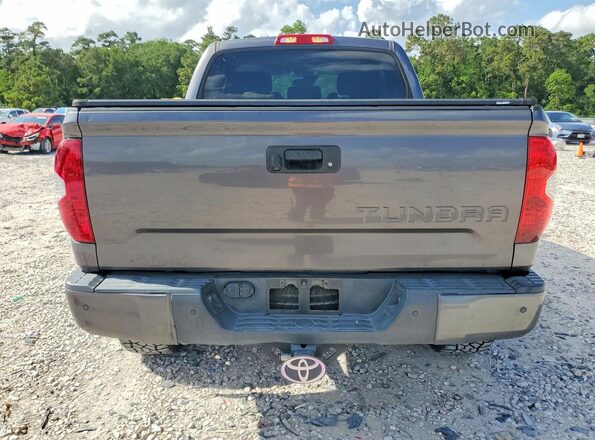 5TFDY5F17KX836079 2019 TOYOTA TUNDRA Gray უკანა ხედი