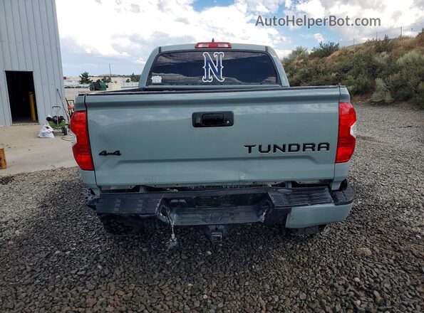5TFDY5F17MX973722 2021 TOYOTA TUNDRA Gray Հետևի տեսք