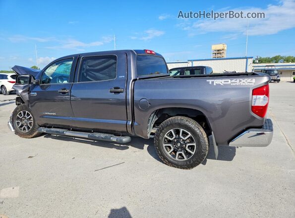 5TFDY5F18GX501369 2016 TOYOTA TUNDRA Gray უკანა მარცხენა
