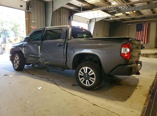 5TFDY5F19MX979926 2021 TOYOTA TUNDRA Gray უკანა მარცხენა