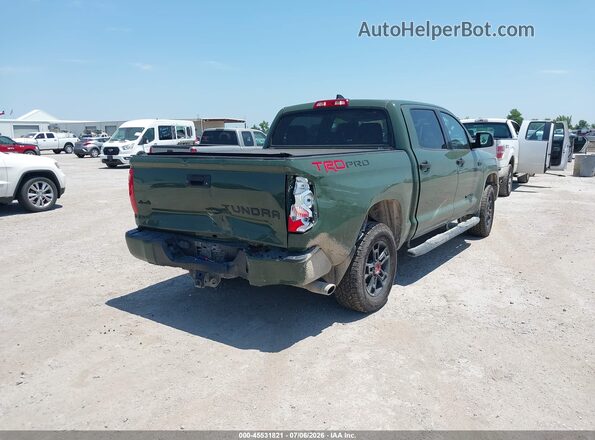 5TFDY5F1XLX891742 2020 TOYOTA TUNDRA Green Задня права чверть