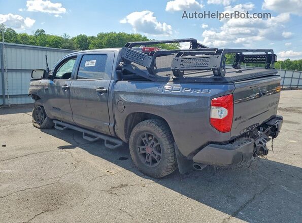 5TFDY5F1XMX007056 2021 TOYOTA TUNDRA Gray Հետևի ձախ