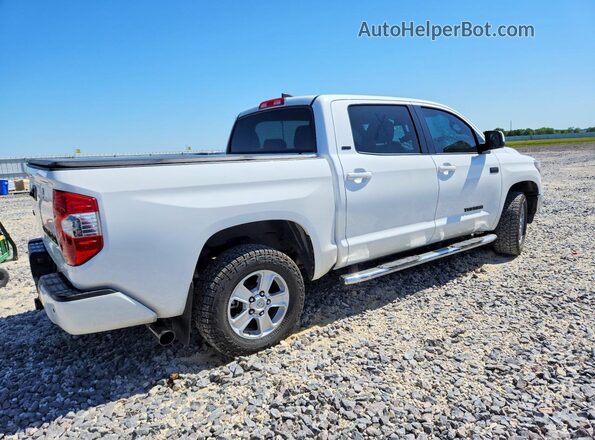 5TFDY5F1XMX983371 2021 TOYOTA TUNDRA White Հետևի աջ