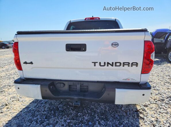 5TFDY5F1XMX983371 2021 TOYOTA TUNDRA White Հետևի տեսք
