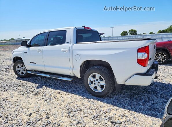 5TFDY5F1XMX983371 2021 TOYOTA TUNDRA White Հետևի ձախ