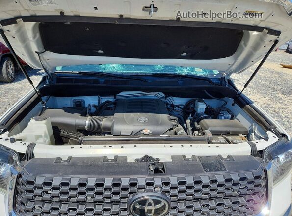 5TFDY5F1XMX983371 2021 TOYOTA TUNDRA White Սալոնի հետևի տեսք