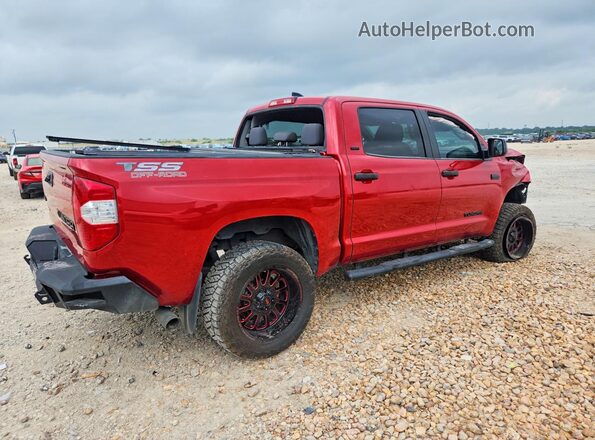 5TFDY5F1XMX989168 2021 TOYOTA TUNDRA Red უკანა მარჯვენა