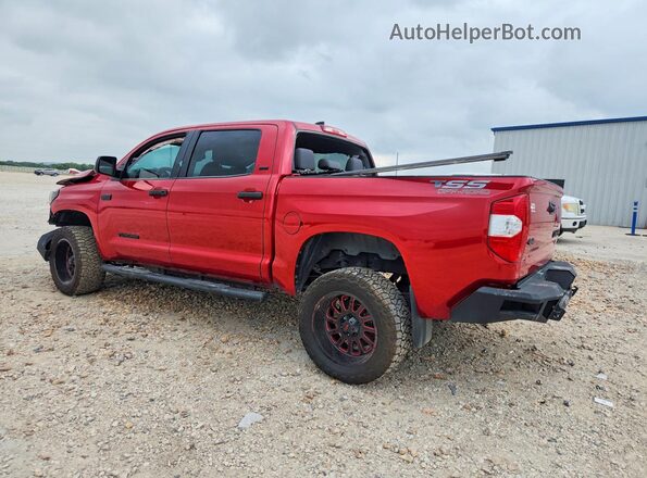 5TFDY5F1XMX989168 2021 TOYOTA TUNDRA Red უკანა მარცხენა