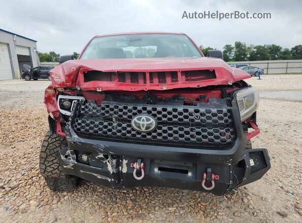5TFDY5F1XMX989168 2021 TOYOTA TUNDRA Red 