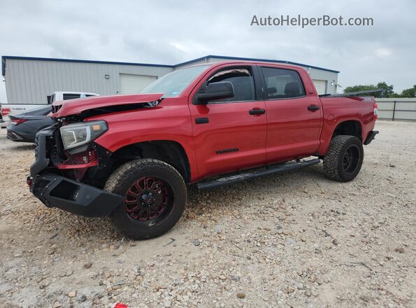 5TFDY5F1XMX989168 2021 TOYOTA TUNDRA Red 