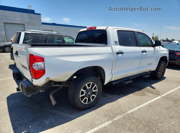 5TFEM5F11GX097718 2016 TOYOTA TUNDRA White Tył prawy