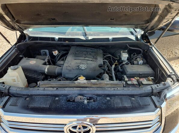 5TFEM5F19GX095487 2016 TOYOTA TUNDRA Угольный Вид задней части салона