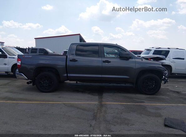 5TFEM5F19KX136662 2019 TOYOTA TUNDRA Серый Панорамный вид салона 360°