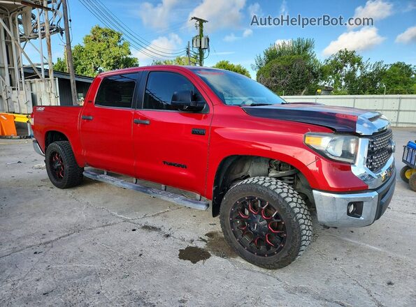 5TFEY5F13MX276214 2021 TOYOTA TUNDRA Maroon Передня права чверть