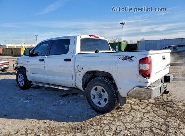 5TFEY5F15KX246077 2019 TOYOTA TUNDRA White Задня ліва чверть
