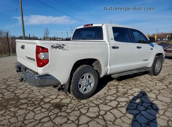 5TFEY5F15KX246077 2019 TOYOTA TUNDRA White Задня права чверть