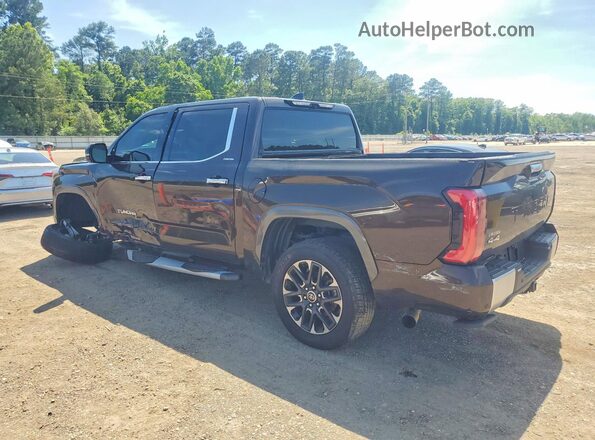 5TFJA5DB0PX111093 2023 TOYOTA TUNDRA Black უკანა მარცხენა