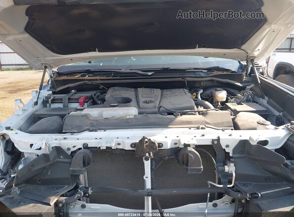 5TFJA5DB1PX114570 2023 TOYOTA TUNDRA White Widok z tyłu