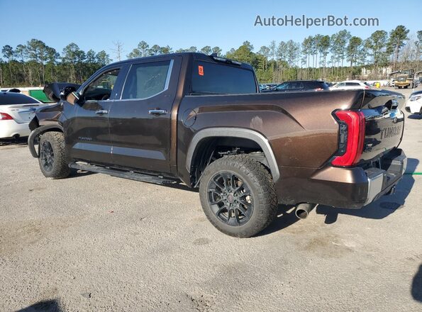 5TFJA5DB2PX090263 2023 TOYOTA TUNDRA Brown Rear left