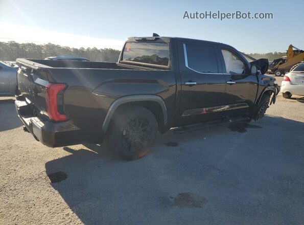 5TFJA5DB2PX090263 2023 TOYOTA TUNDRA Brown Rear right