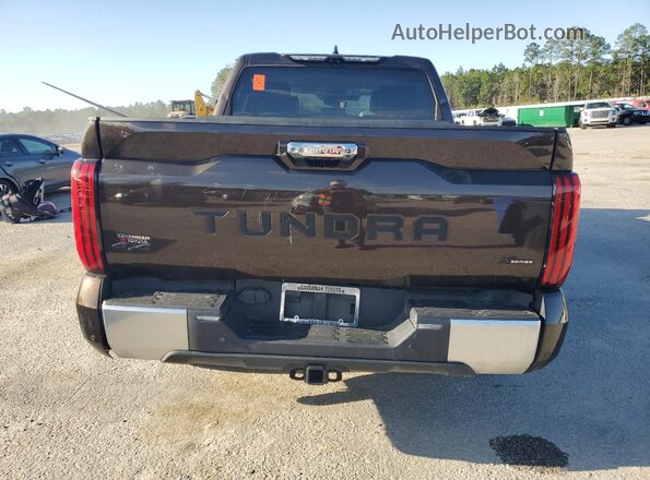 5TFJA5DB2PX090263 2023 TOYOTA TUNDRA Brown Rear view