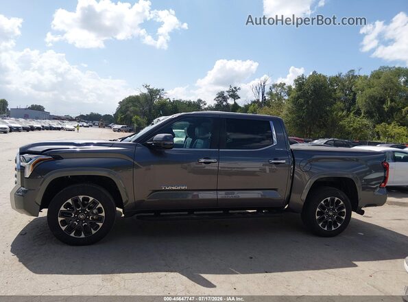 5TFJA5DB5SX305871 2025 TOYOTA TUNDRA Gray Vista interior de 360 grados
