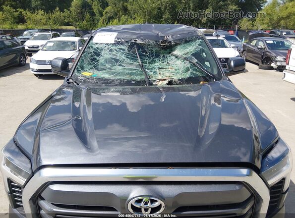5TFJA5DB5SX305871 2025 TOYOTA TUNDRA Gray Vista frontal