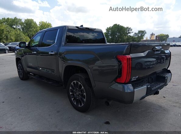 5TFJA5DB5SX305871 2025 TOYOTA TUNDRA Gray Trasero izquierdo