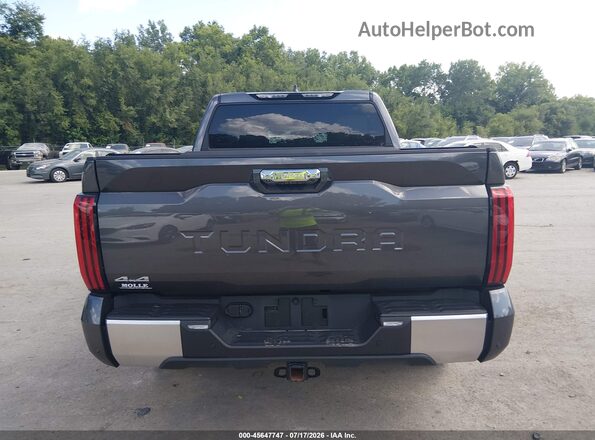 5TFJA5DB5SX305871 2025 TOYOTA TUNDRA Gray 