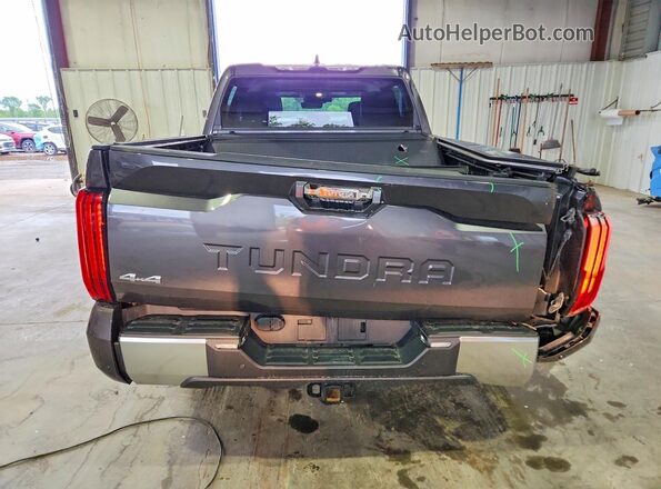 5TFJA5DB6NX025123 2022 TOYOTA TUNDRA Gray უკანა ხედი