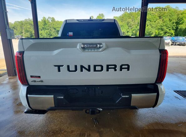 5TFJA5DB6TX348570 2026 TOYOTA TUNDRA White Հետևի տեսք
