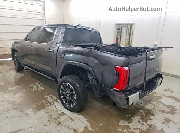 5TFJA5DBXSX314842 2025 TOYOTA TUNDRA Gray Trasero izquierdo