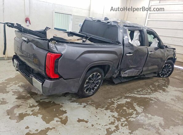 5TFJA5DBXSX314842 2025 TOYOTA TUNDRA Gray Trasero derecho
