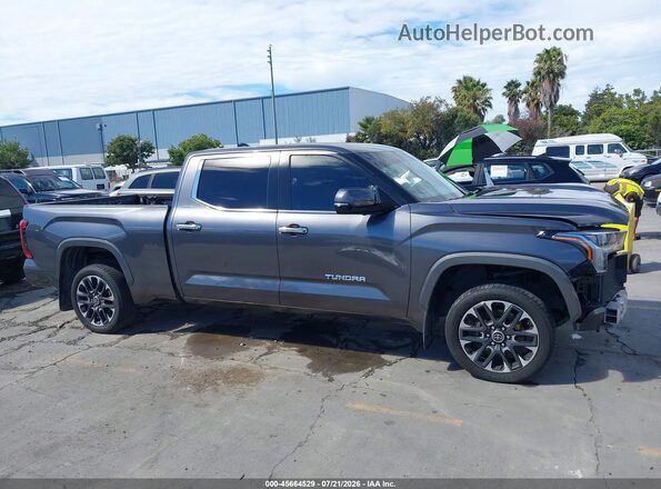 5TFJA5EC5PX017167 2023 TOYOTA TUNDRA Серый Панорамный вид салона 360°
