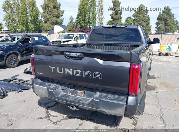 5TFJA5EC5PX017167 2023 TOYOTA TUNDRA Серый 
