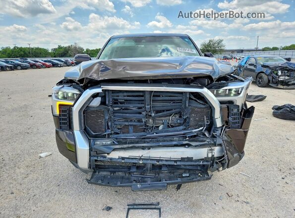 5TFJC5AB6PX002457 2023 TOYOTA TUNDRA Brown Vista frontal