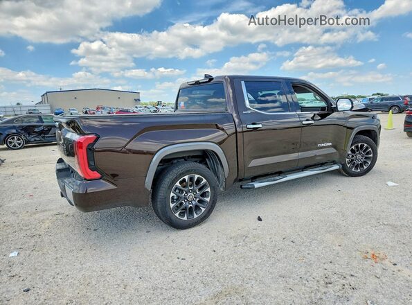 5TFJC5AB6PX002457 2023 TOYOTA TUNDRA Brown Trasero derecho