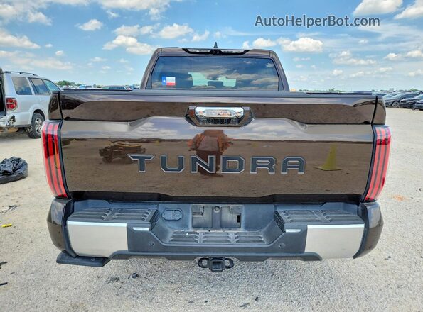 5TFJC5AB6PX002457 2023 TOYOTA TUNDRA Brown Vista trasera